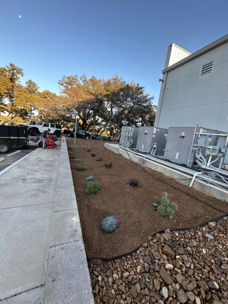 Various types of cacti, planted in the patio of a commercial building by the Biocleaners USA team.