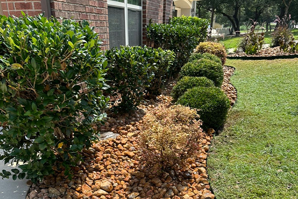 Brick house with a stone path with bushes and small trees pruned and maintained by the BioCleaners team.